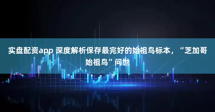 实盘配资app 深度解析保存最完好的始祖鸟标本，“芝加哥始祖鸟”问世