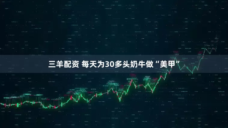 三羊配资 每天为30多头奶牛做“美甲”