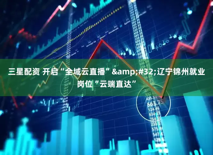 三星配资 开启“全域云直播”&#32;辽宁锦州就业岗位“云端直达”