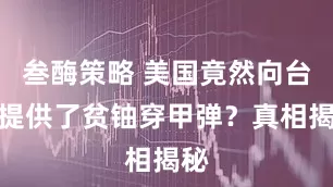 叁酶策略 美国竟然向台湾提供了贫铀穿甲弹？真相揭秘